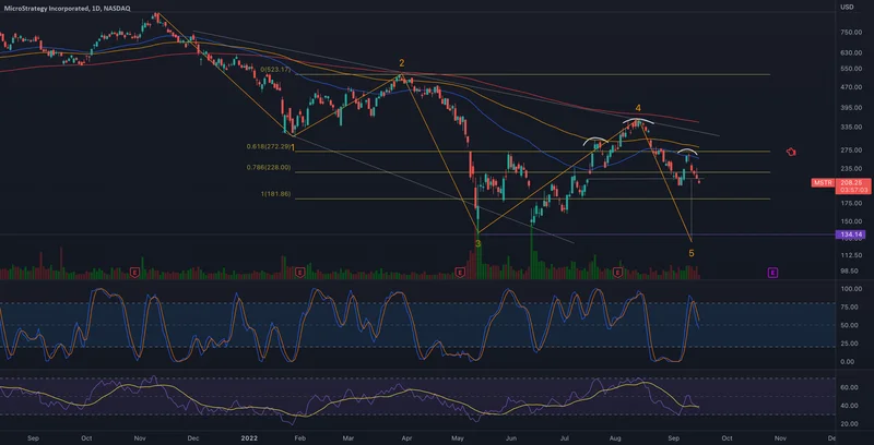 MicroStrategy's Unprecedented Bitcoin Bet: Decoding the Strategy and What Comes Next